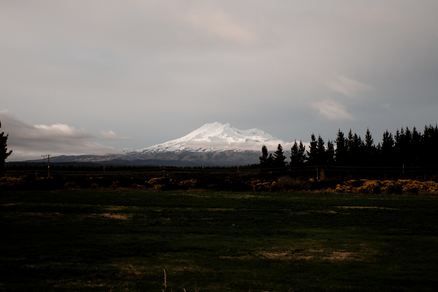 New Zealand - North Island - Chris A James