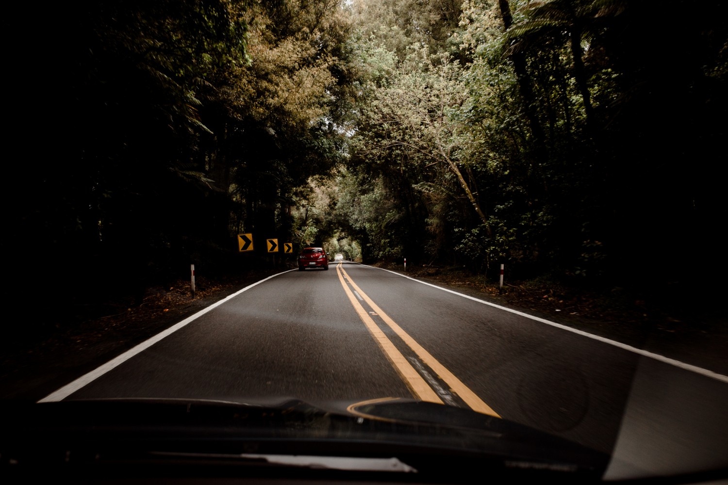 New Zealand - North Island - Chris A James