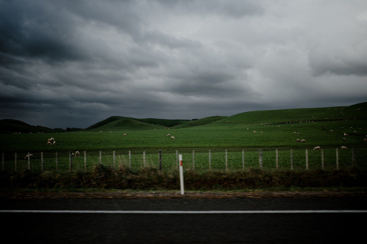 New Zealand - North Island - Chris A James