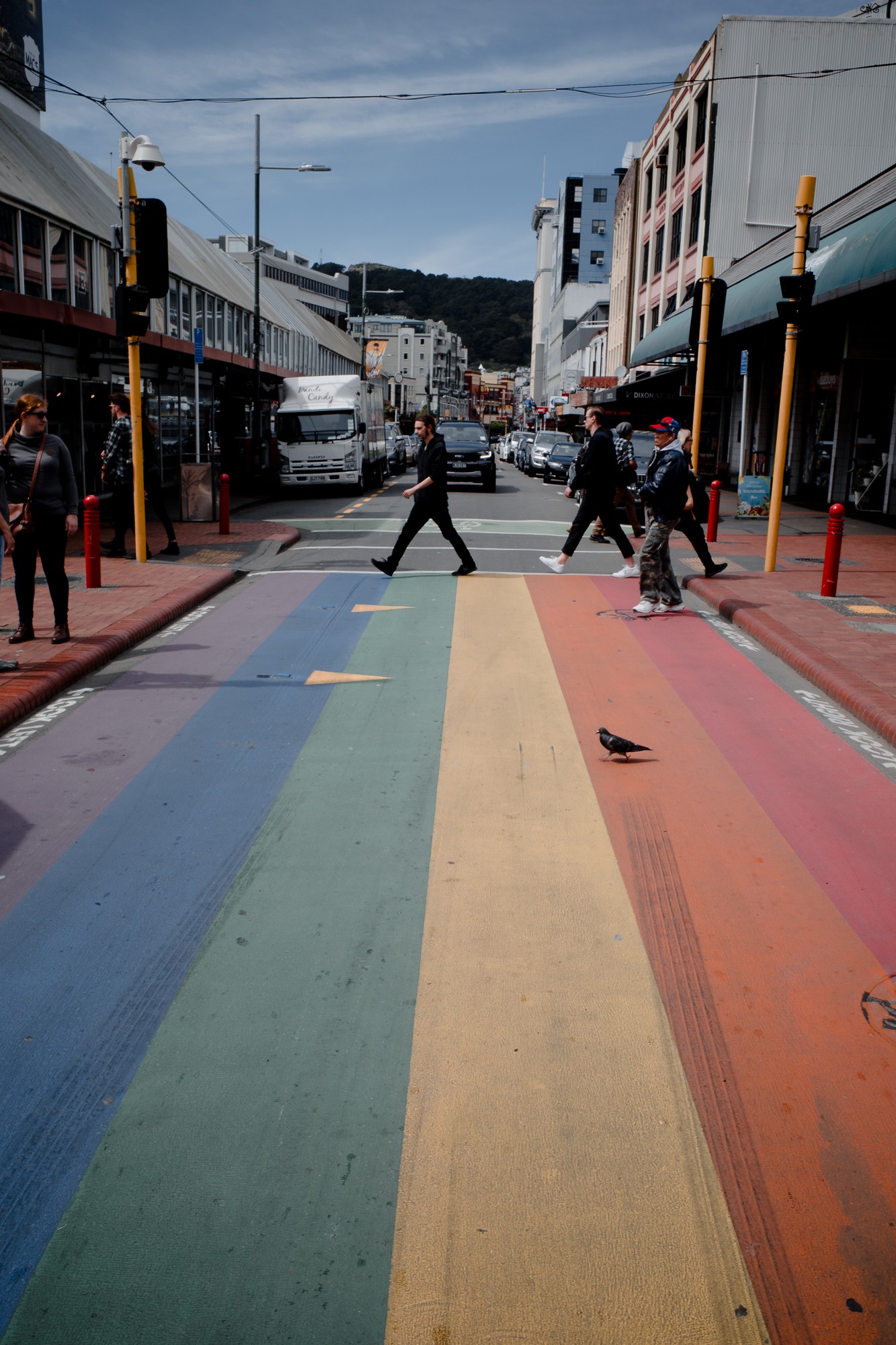 New Zealand - North Island - Chris A James
