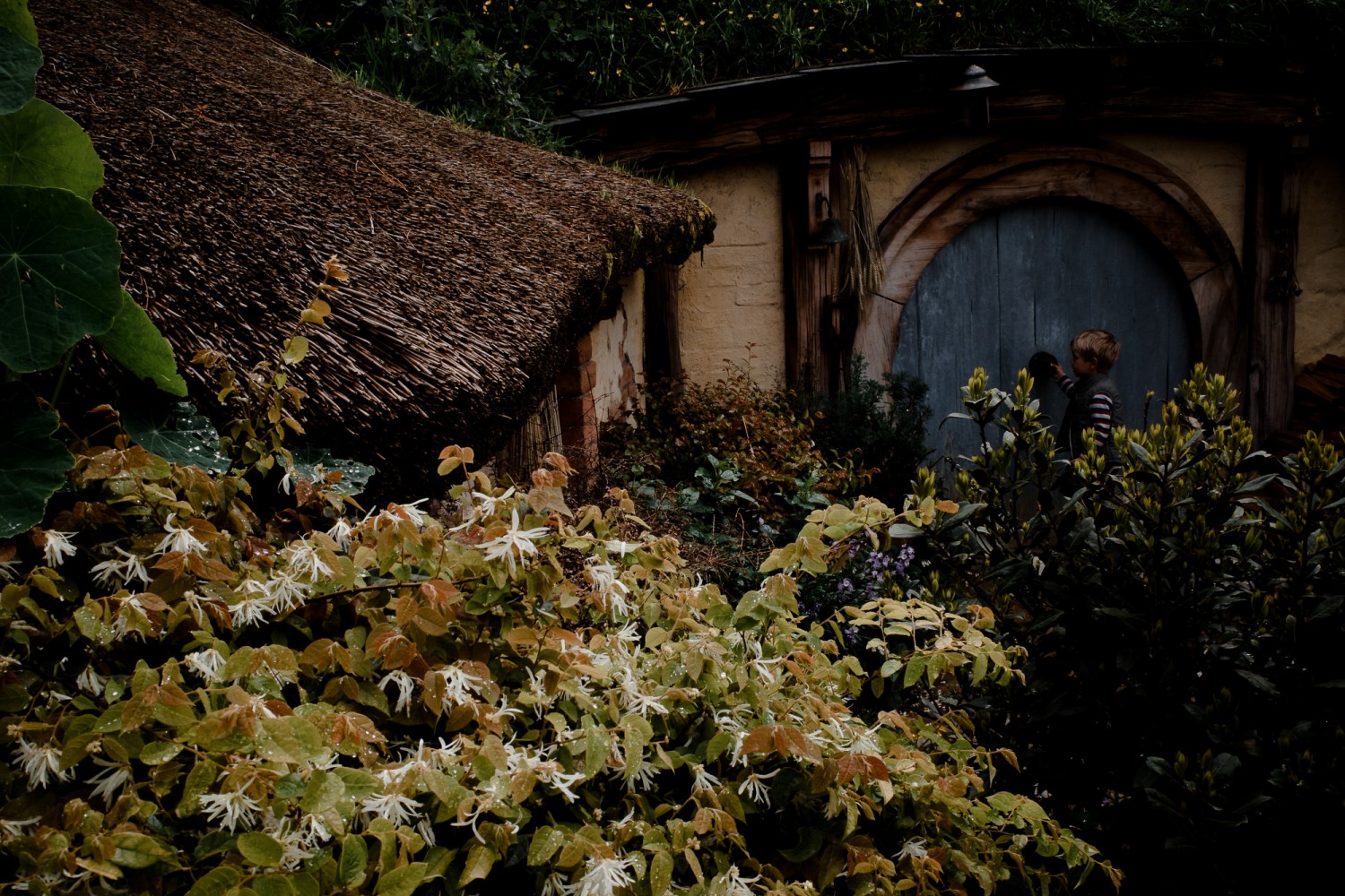 New Zealand - North Island - Chris A James