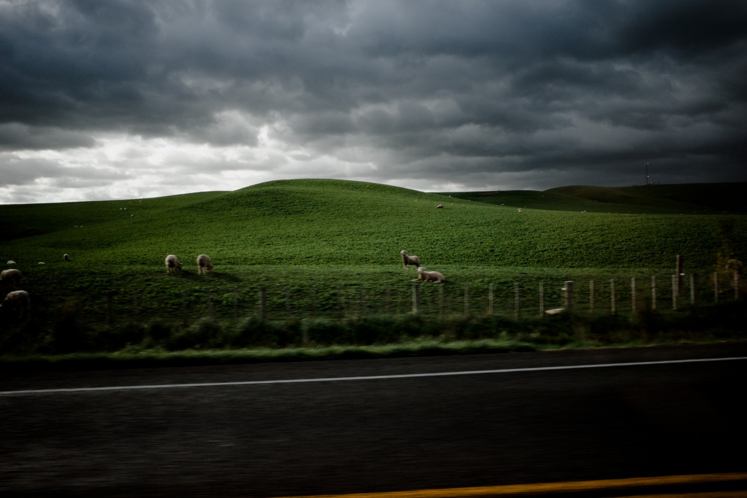 New Zealand - North Island - Chris A James