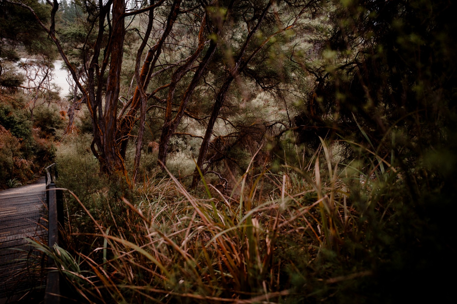 New Zealand - North Island - Chris A James