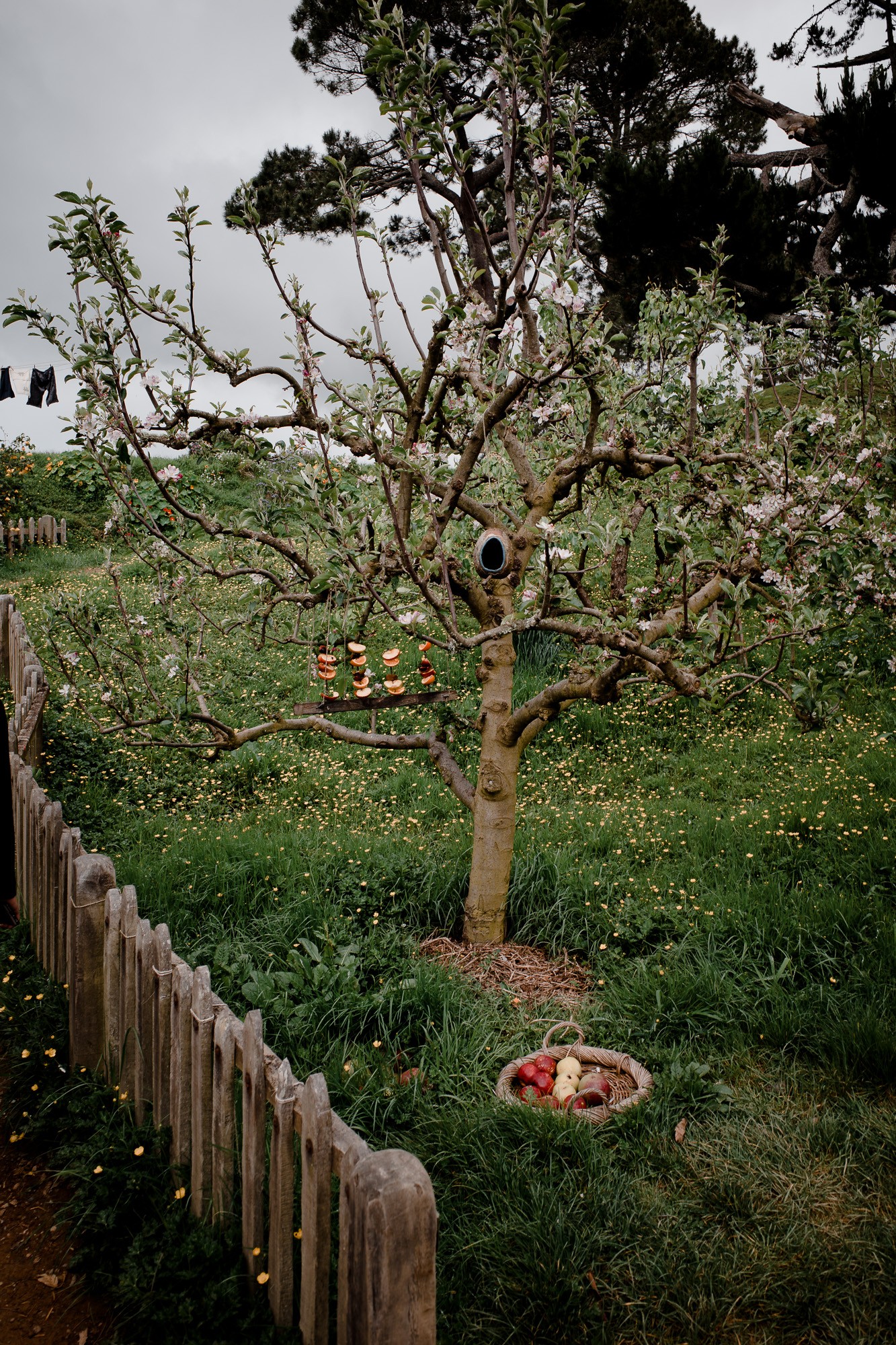 New Zealand - North Island - Chris A James