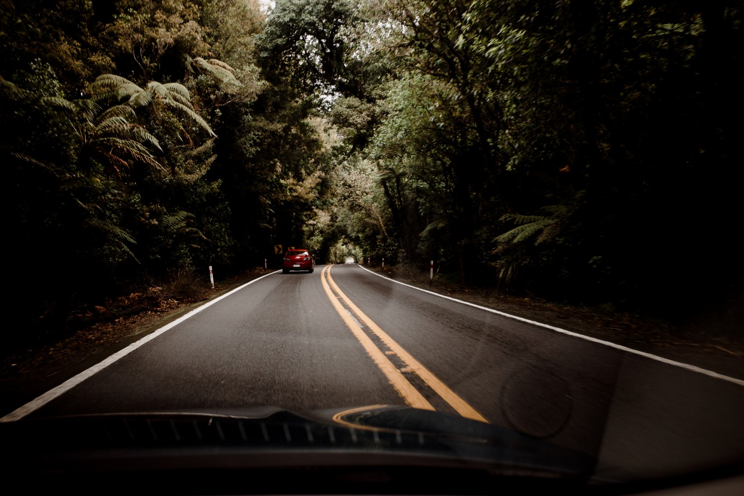 New Zealand - North Island - Chris A James