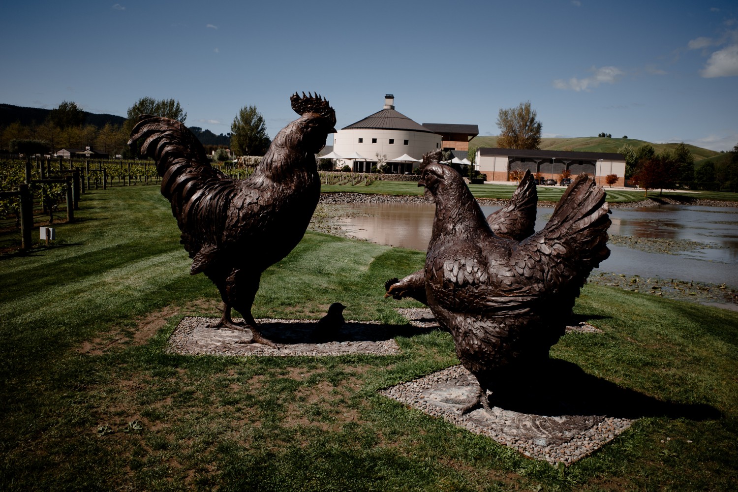 New Zealand - North Island - Chris A James