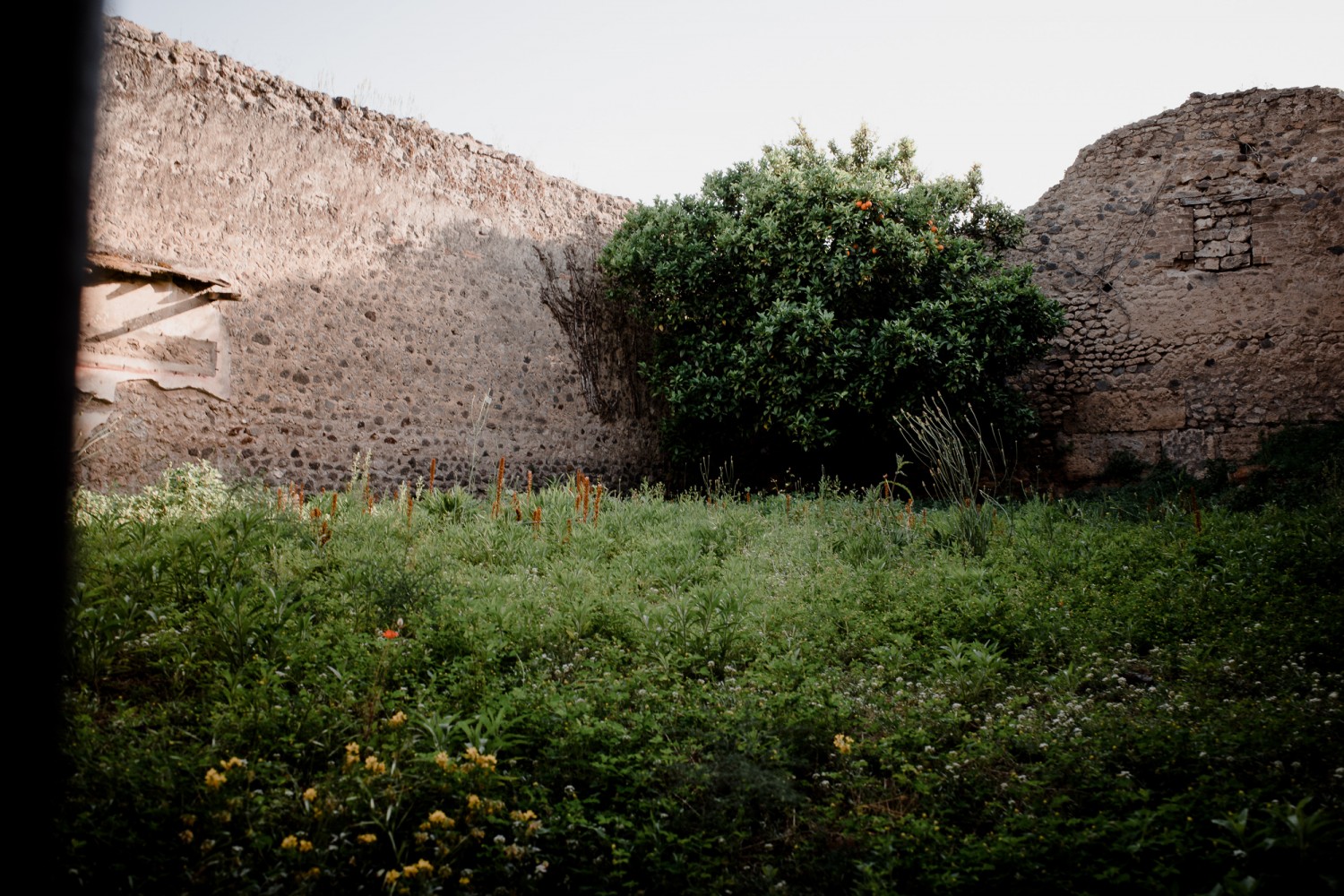 Pompeii - Chris A James