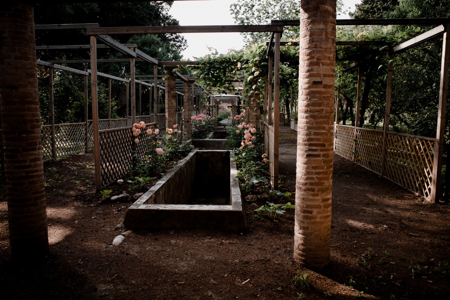 Pompeii - Chris A James