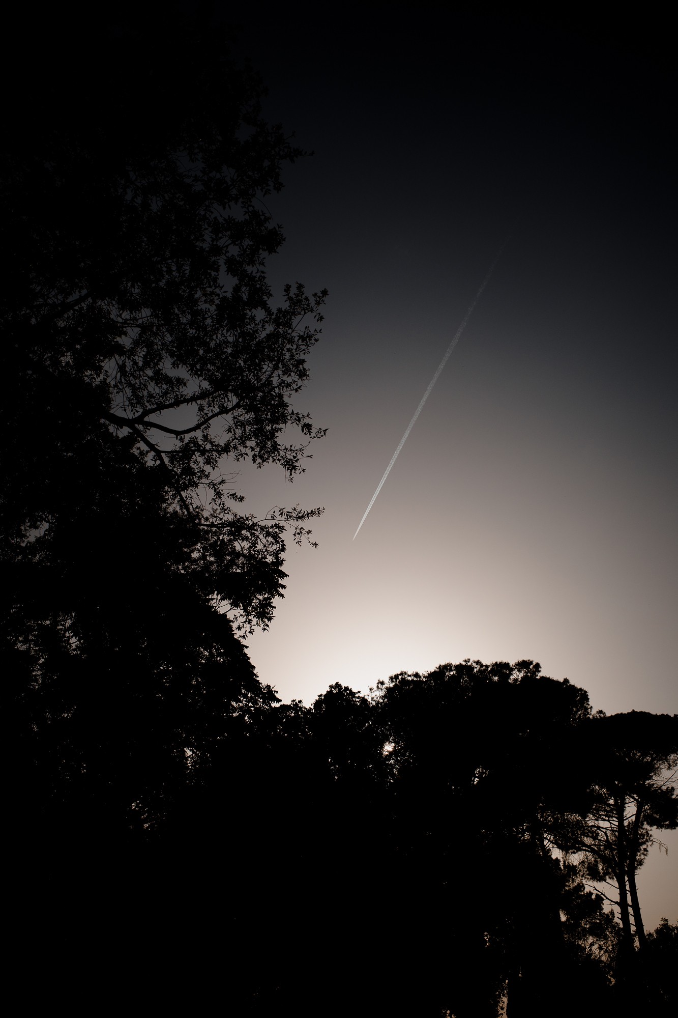 Pompeii - Chris A James