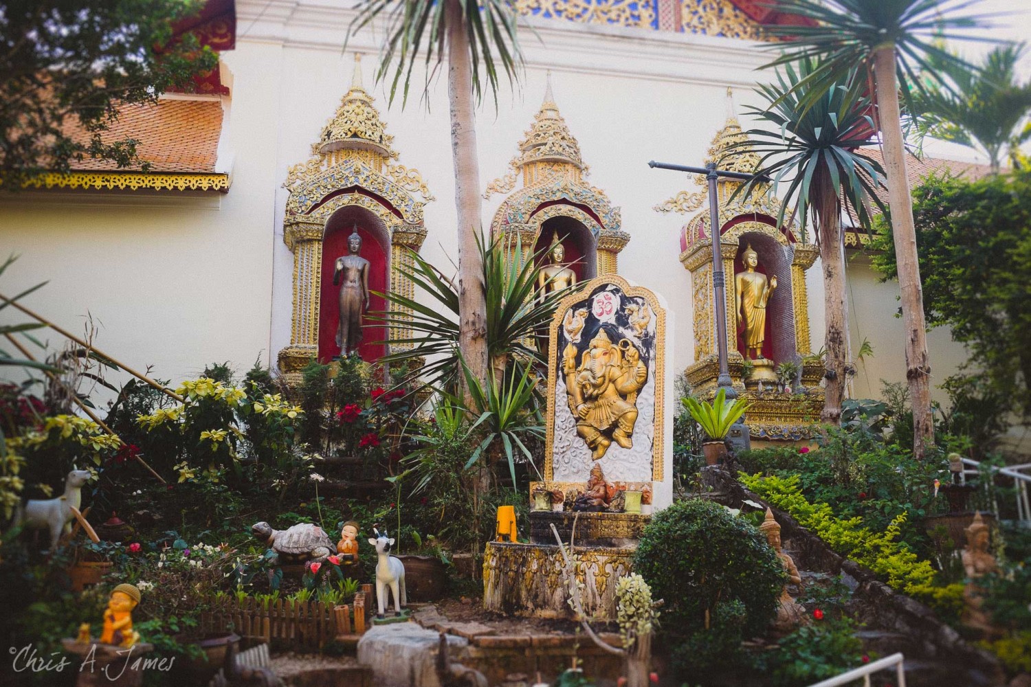 Chaing Mai - Chris A James