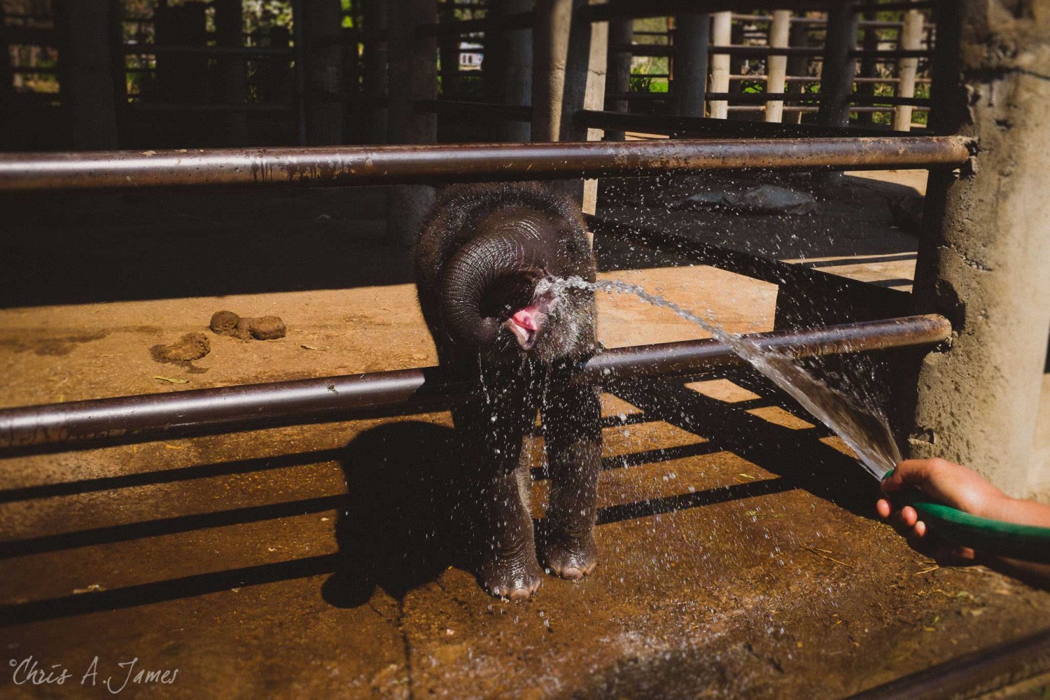 Chaing Mai - Chris A James