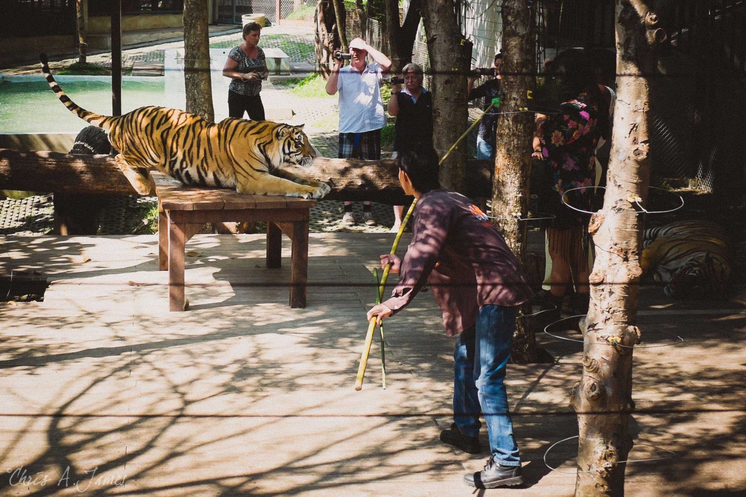 Chaing Mai - Chris A James