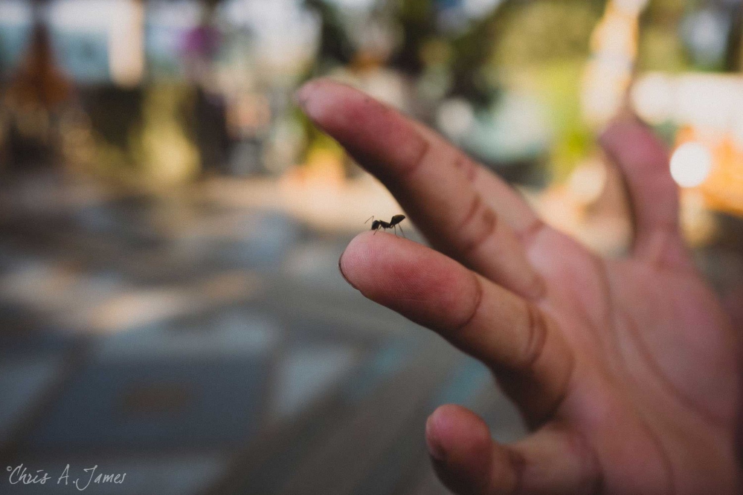 Chaing Mai - Chris A James