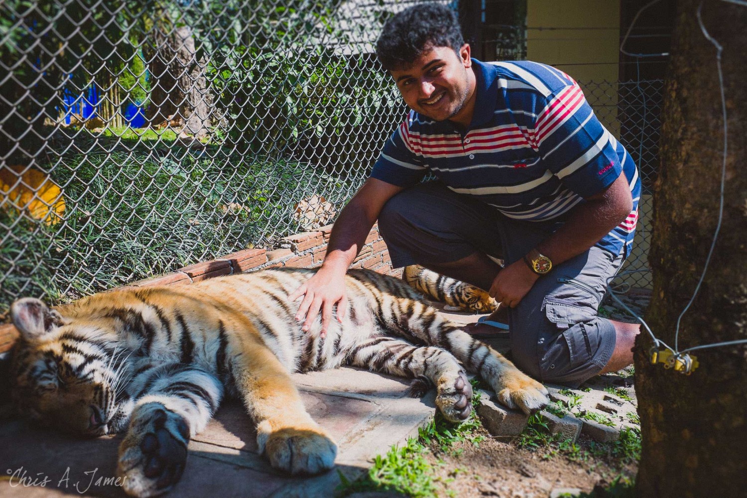 Chaing Mai - Chris A James