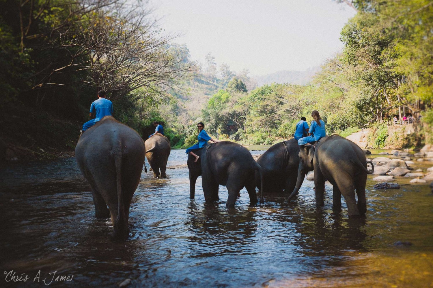 Chaing Mai - Chris A James