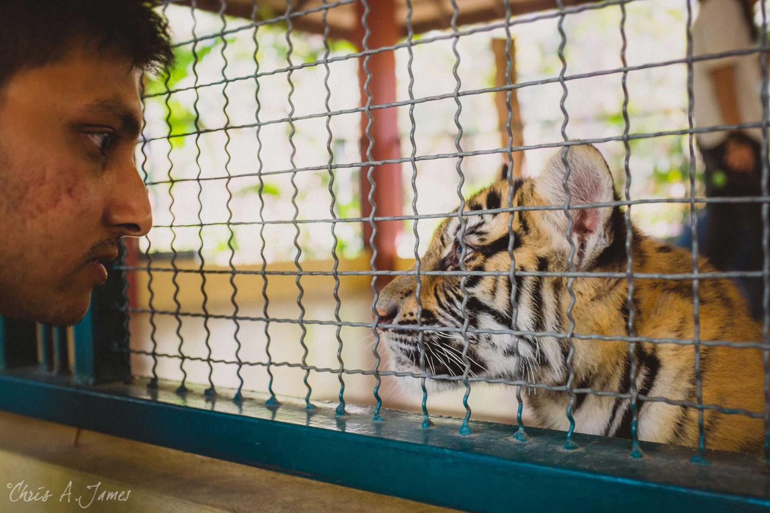 Chaing Mai - Chris A James