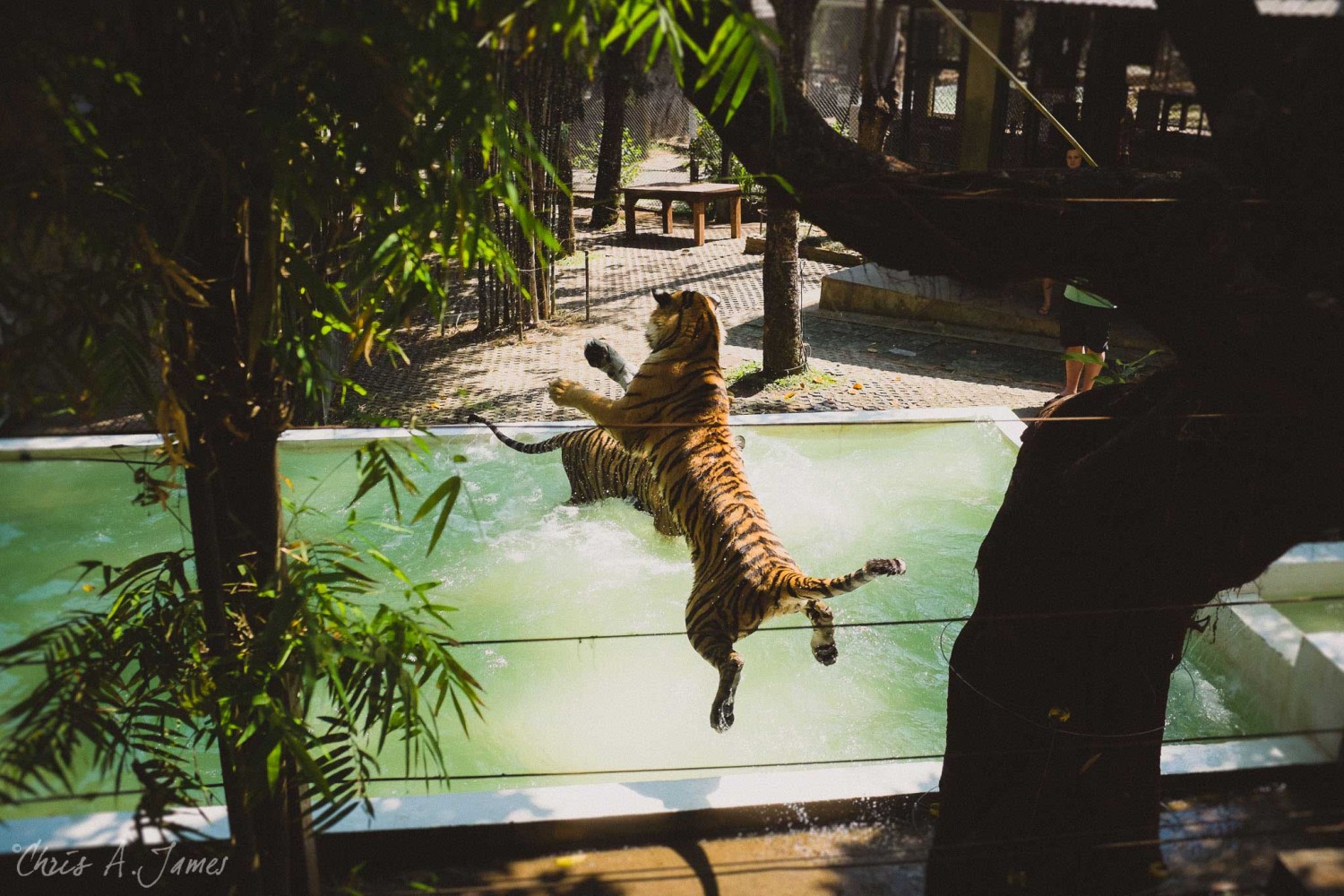 Chaing Mai - Chris A James