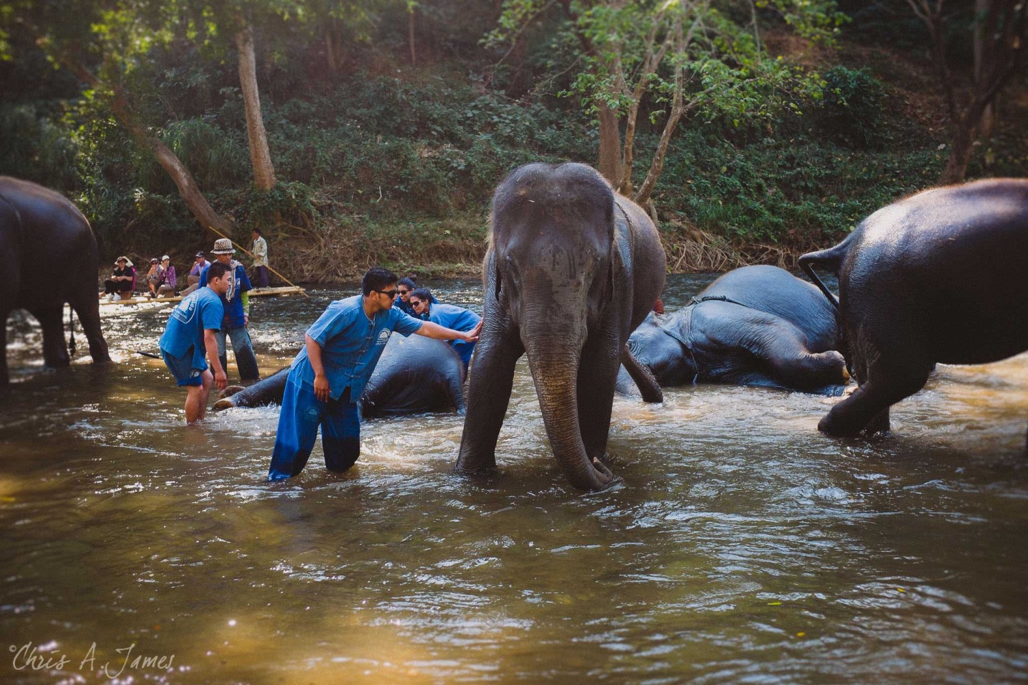 Chaing Mai - Chris A James