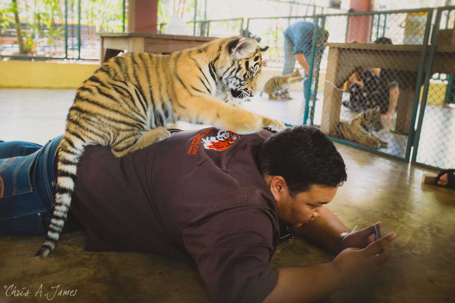 Chaing Mai - Chris A James