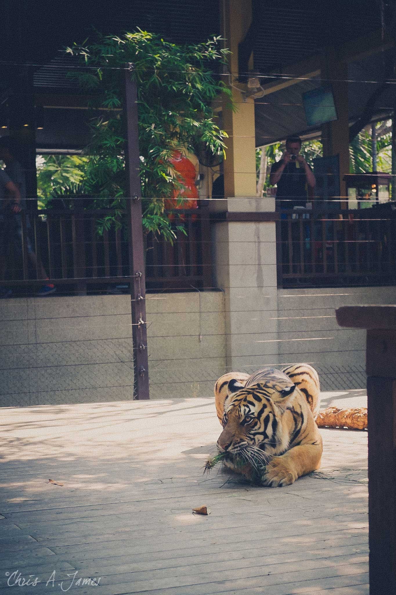 Chaing Mai - Chris A James