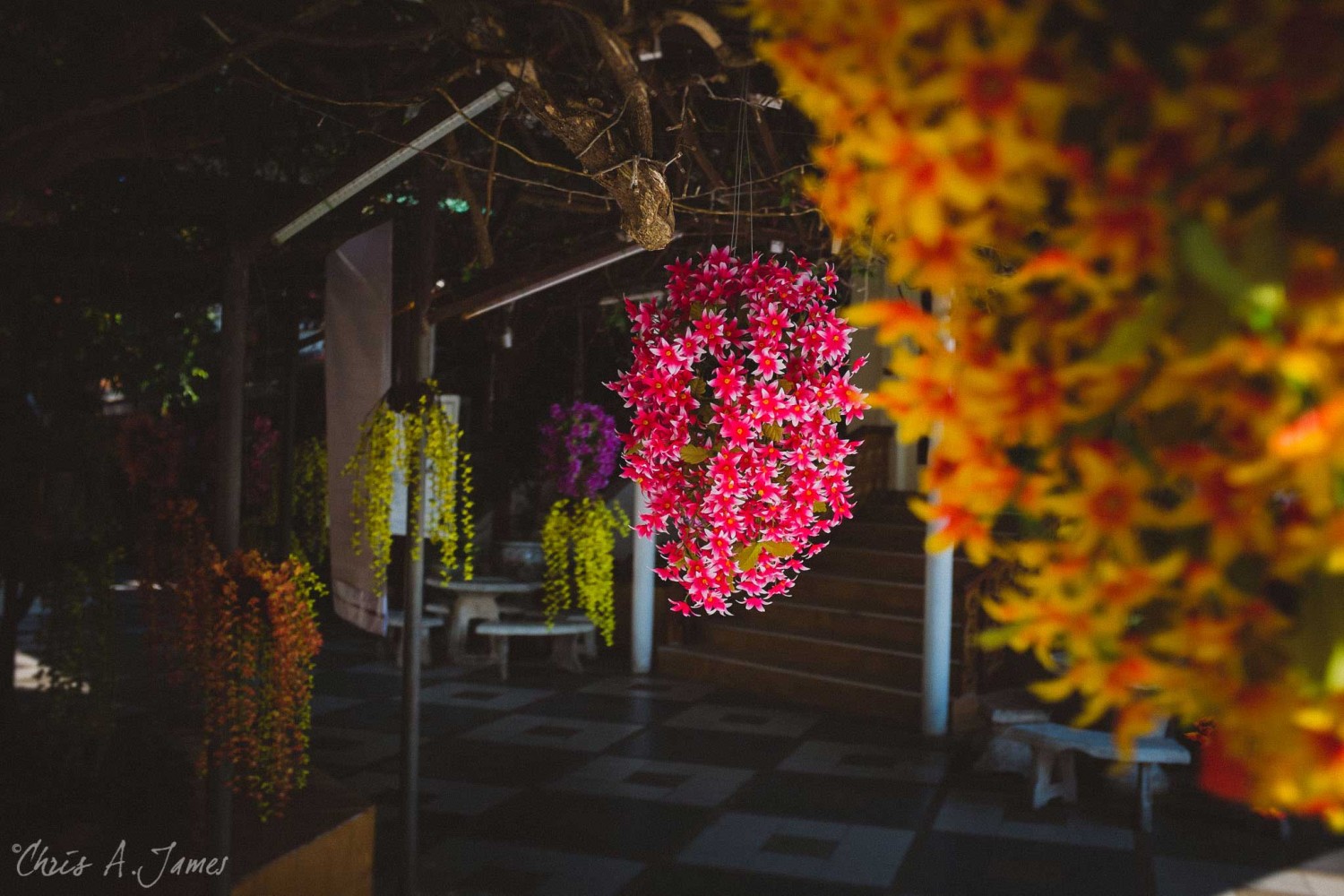 Chaing Mai - Chris A James