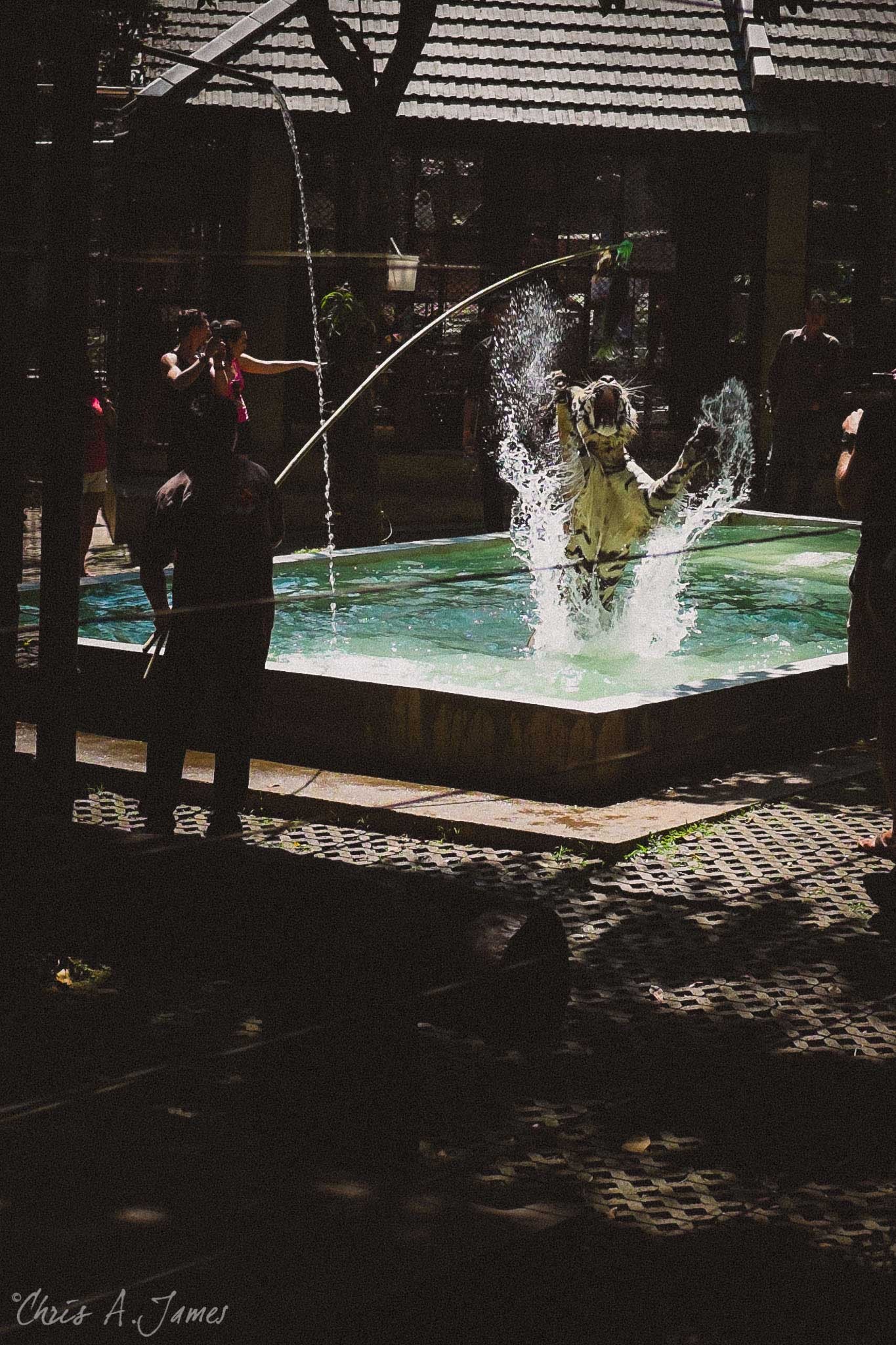 Chaing Mai - Chris A James