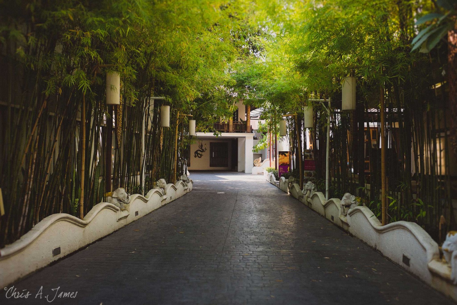 Chaing Mai - Chris A James