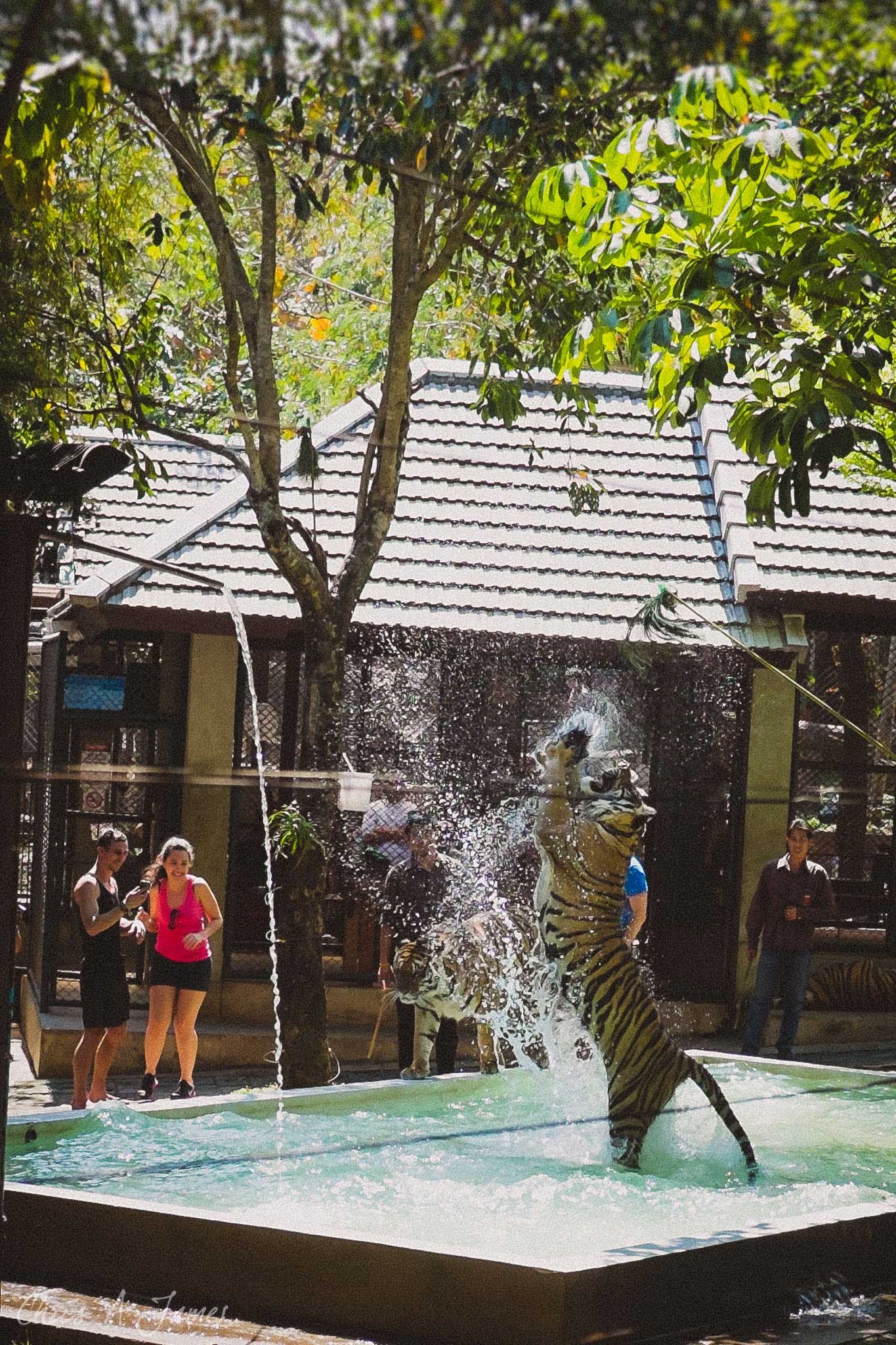 Chaing Mai - Chris A James