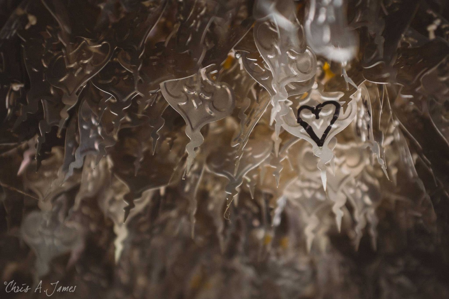 Chaing Mai - Chris A James