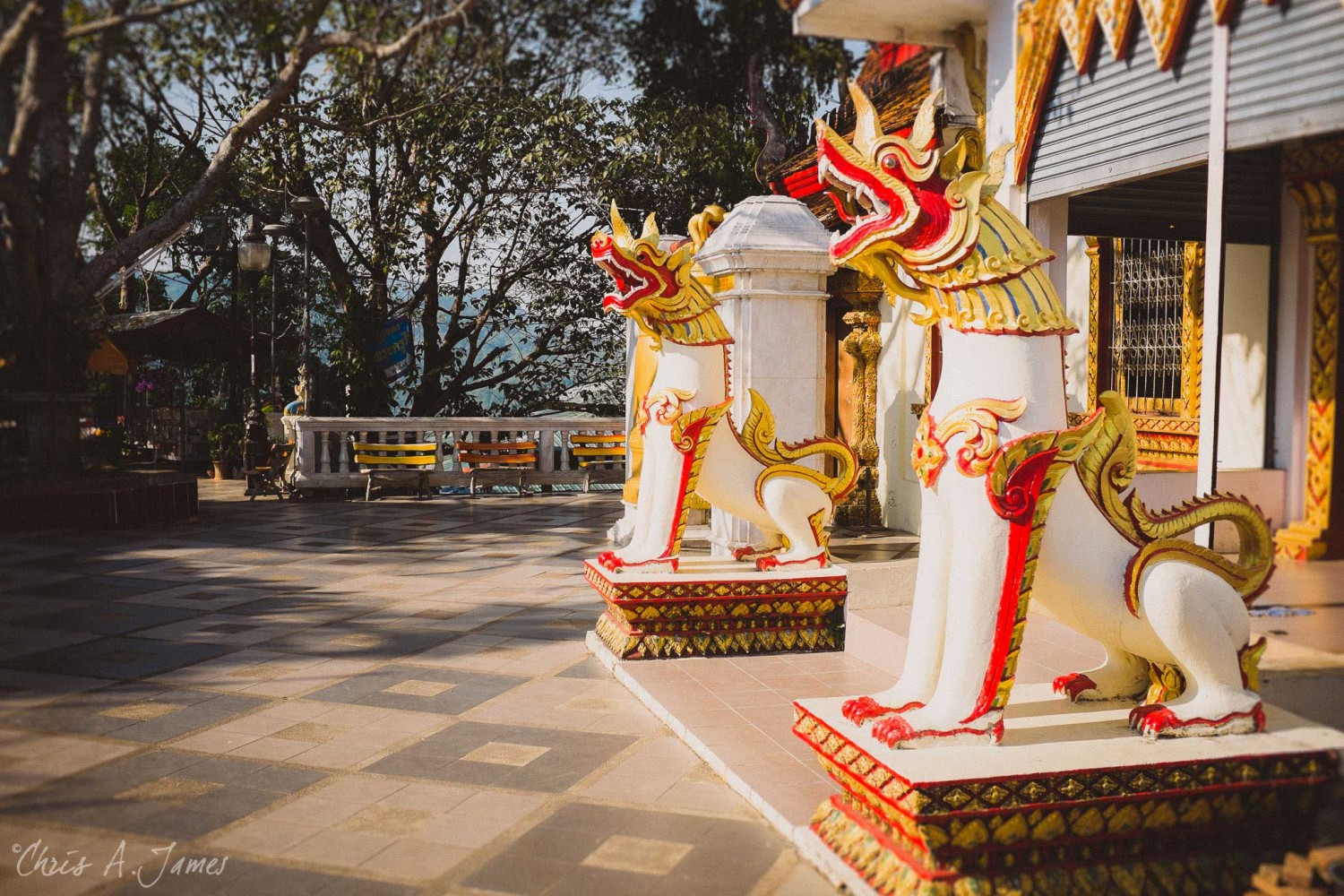 Chaing Mai - Chris A James