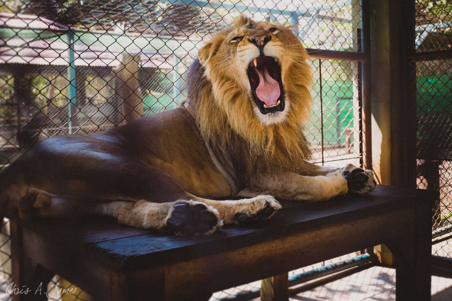 Chaing Mai - Chris A James