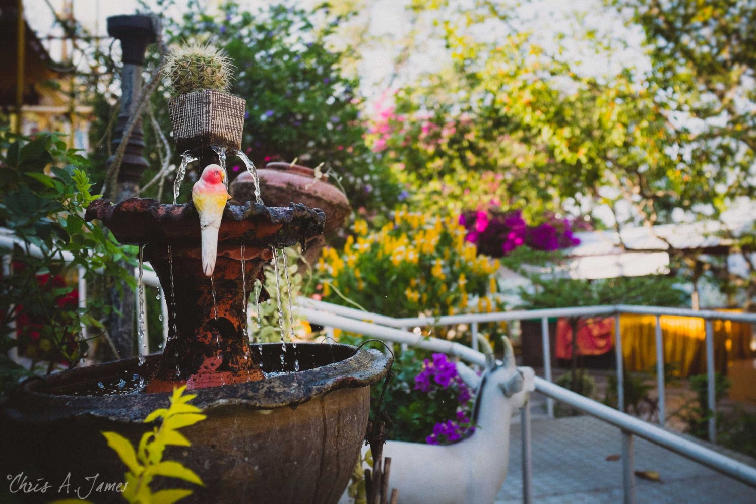 Chaing Mai - Chris A James