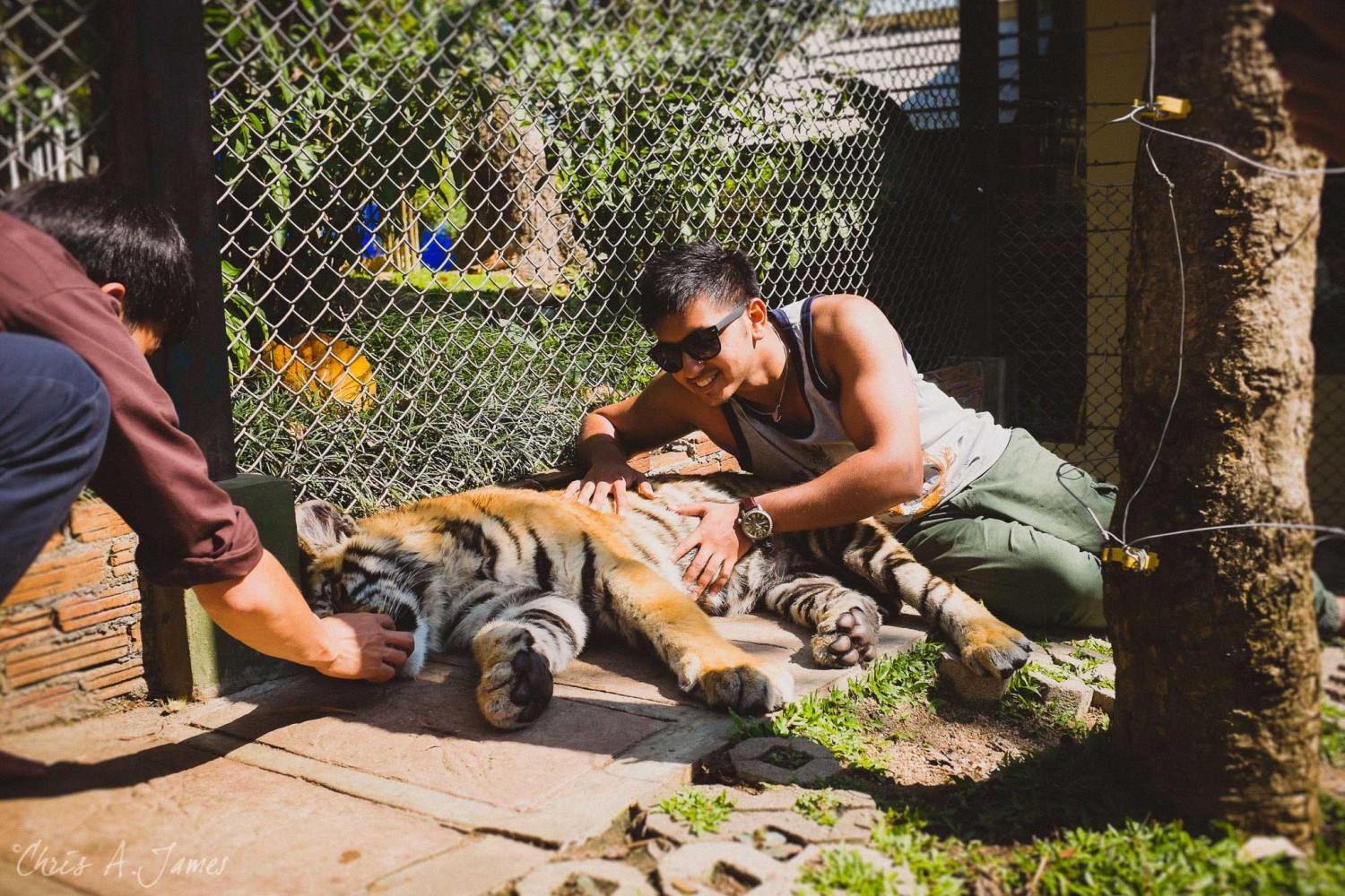 Chaing Mai - Chris A James