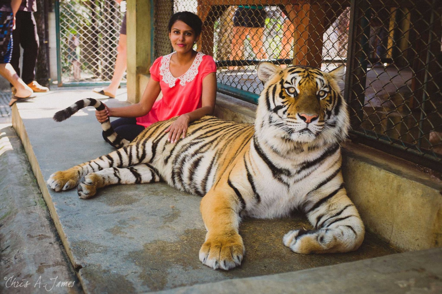 Chaing Mai - Chris A James