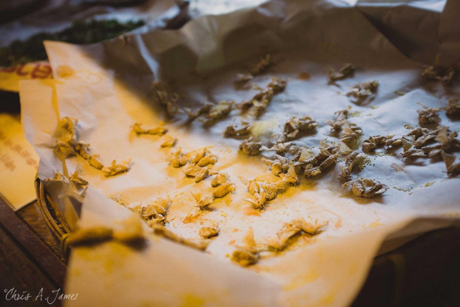 Chaing Mai - Chris A James