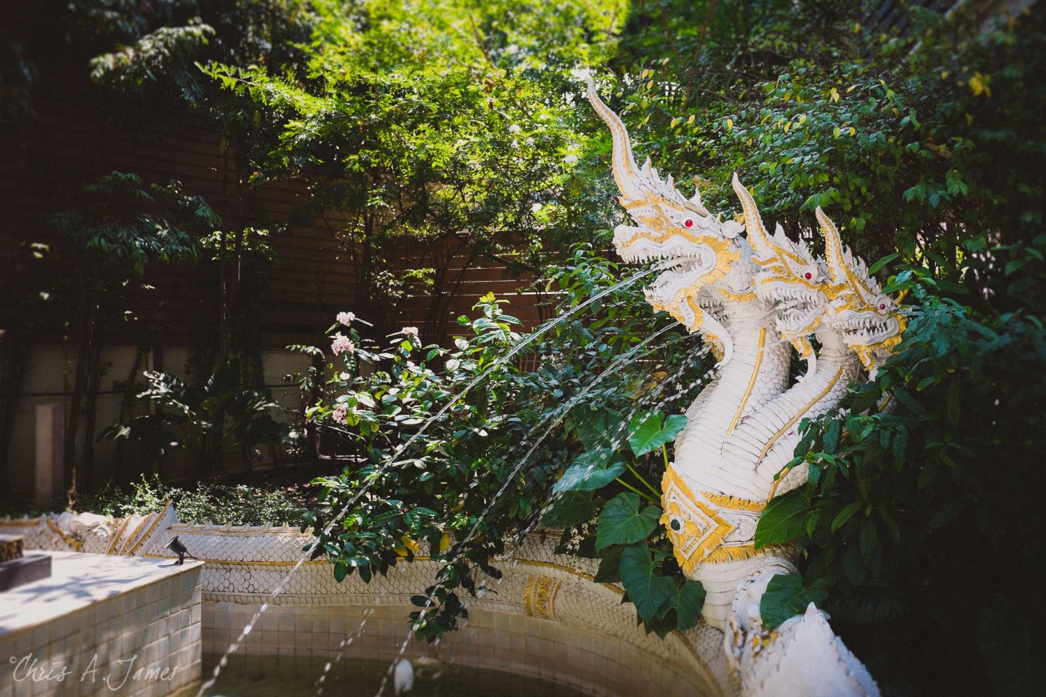 Chaing Mai - Chris A James