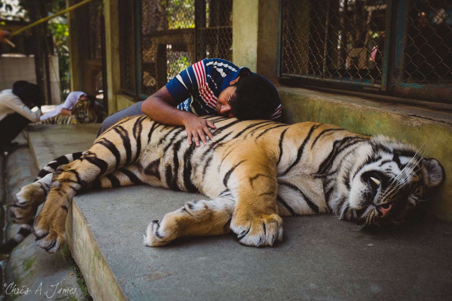 Chaing Mai - Chris A James