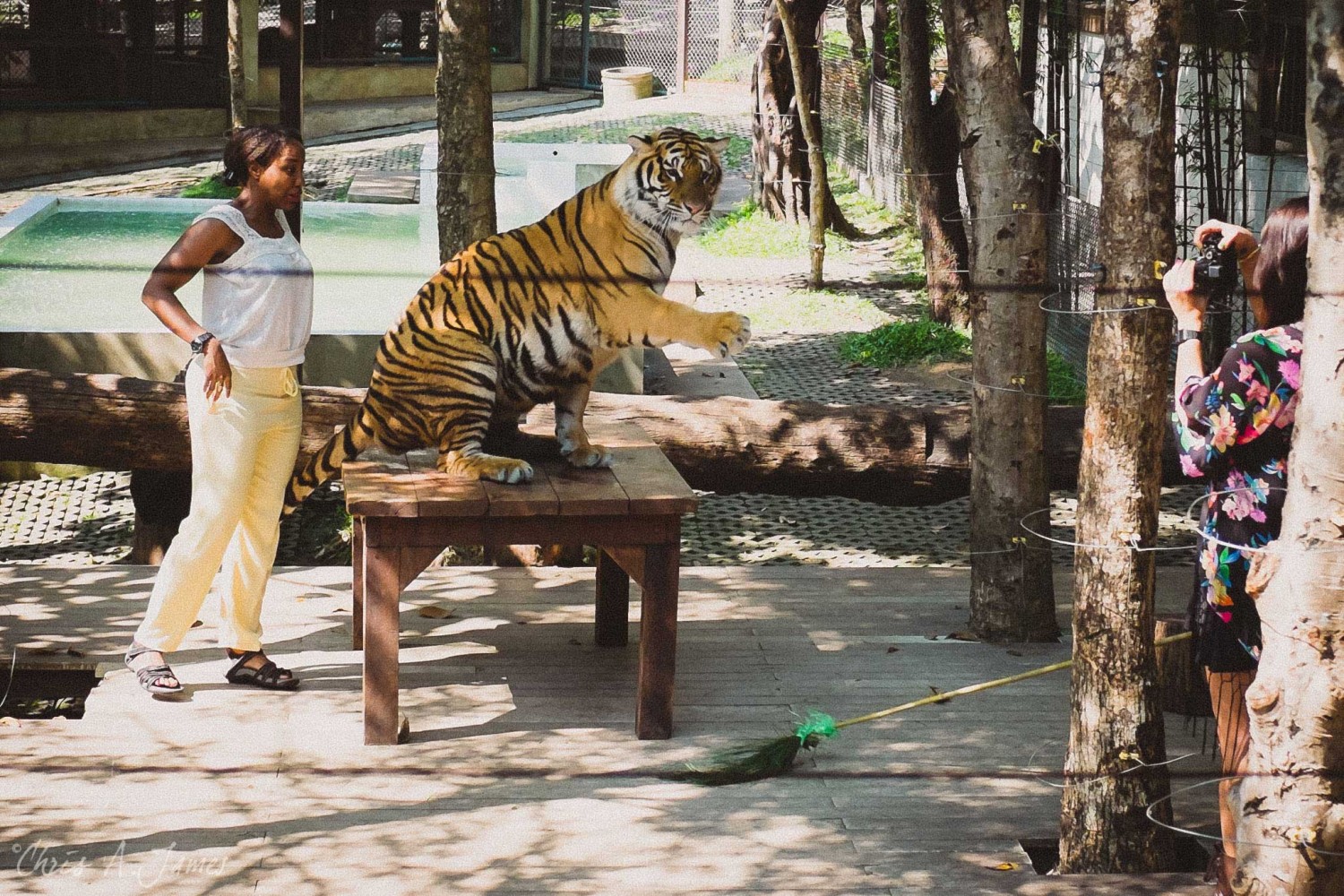 Chaing Mai - Chris A James