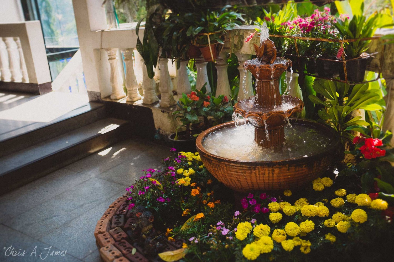 Chaing Mai - Chris A James