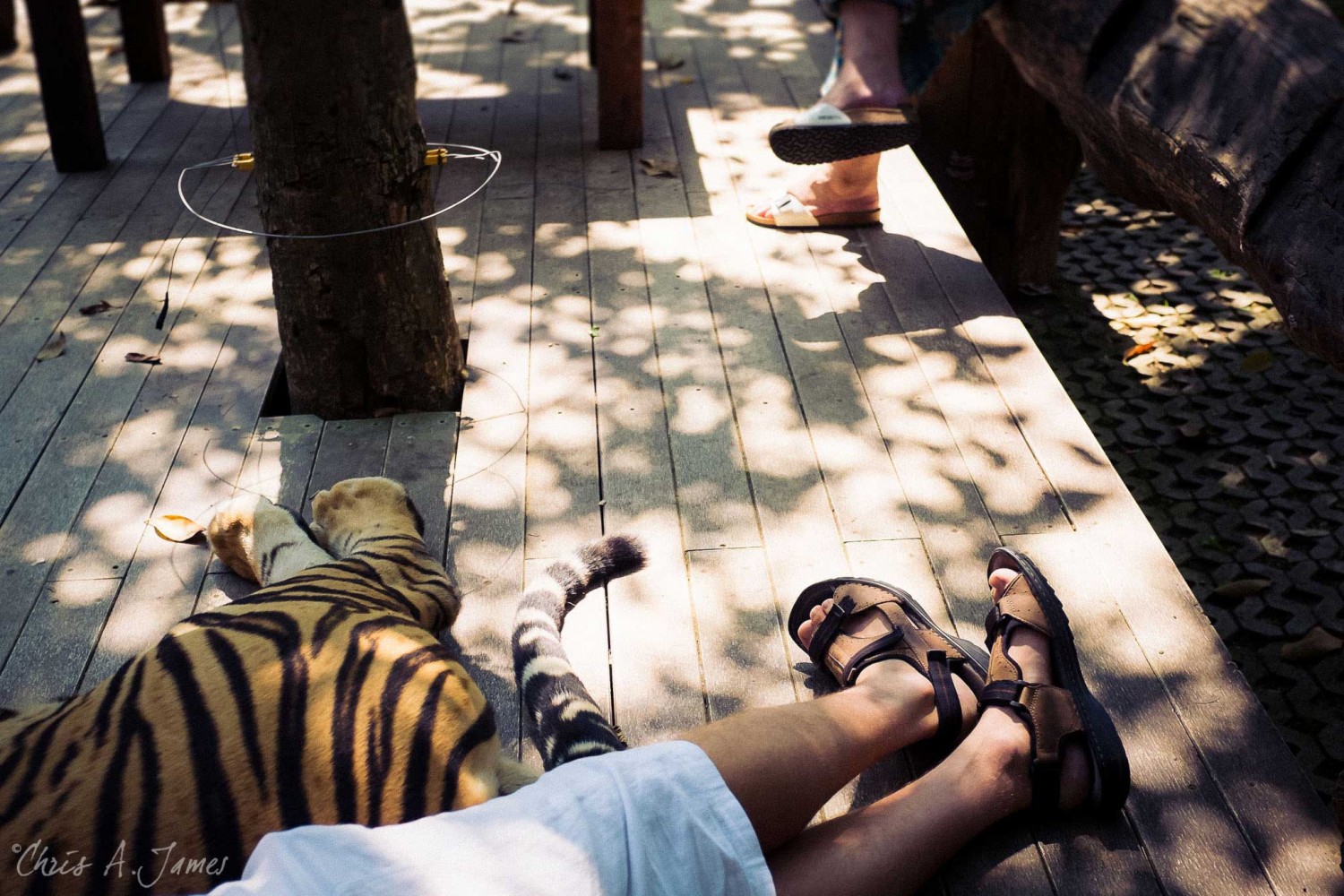 Chaing Mai - Chris A James