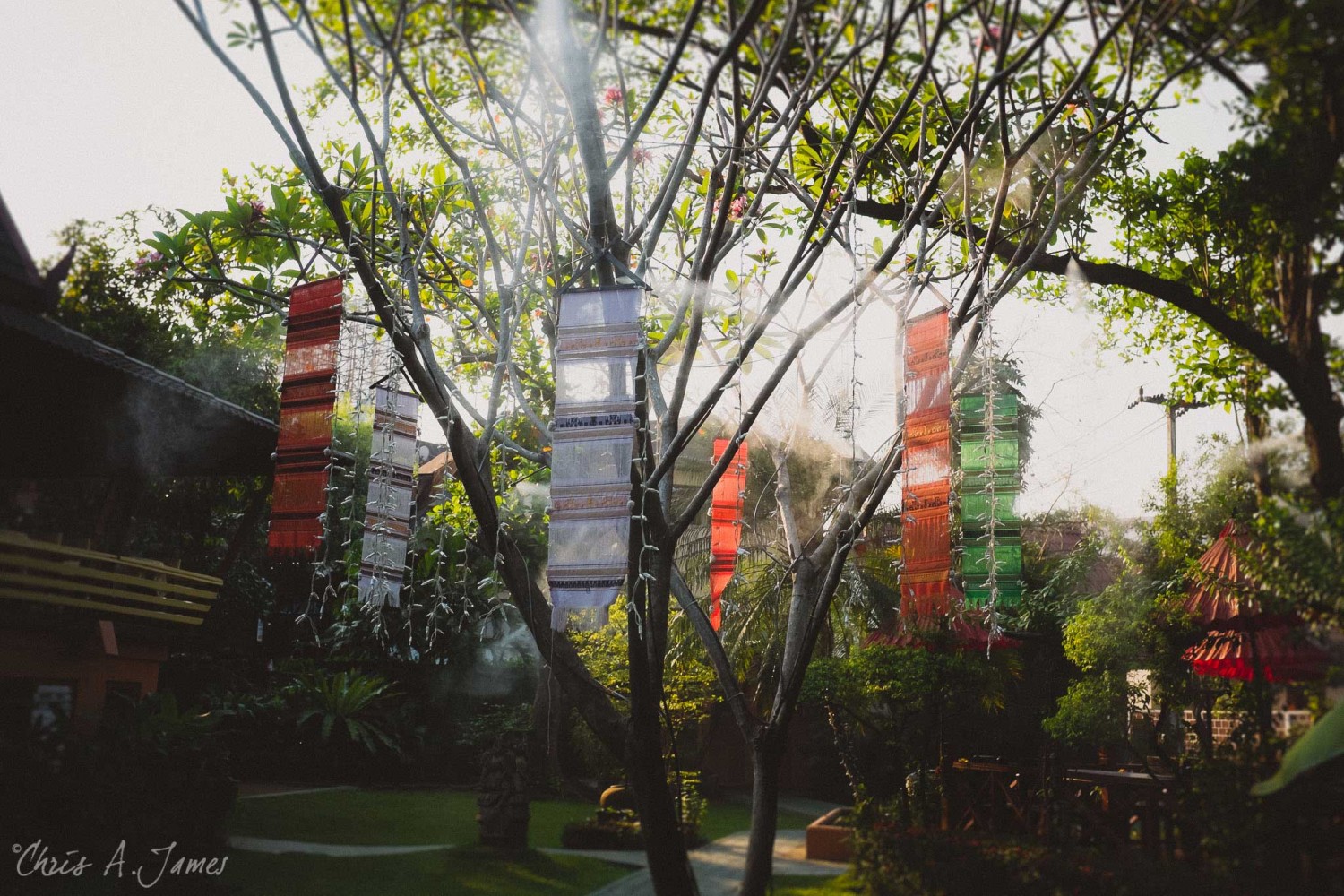 Chaing Mai - Chris A James