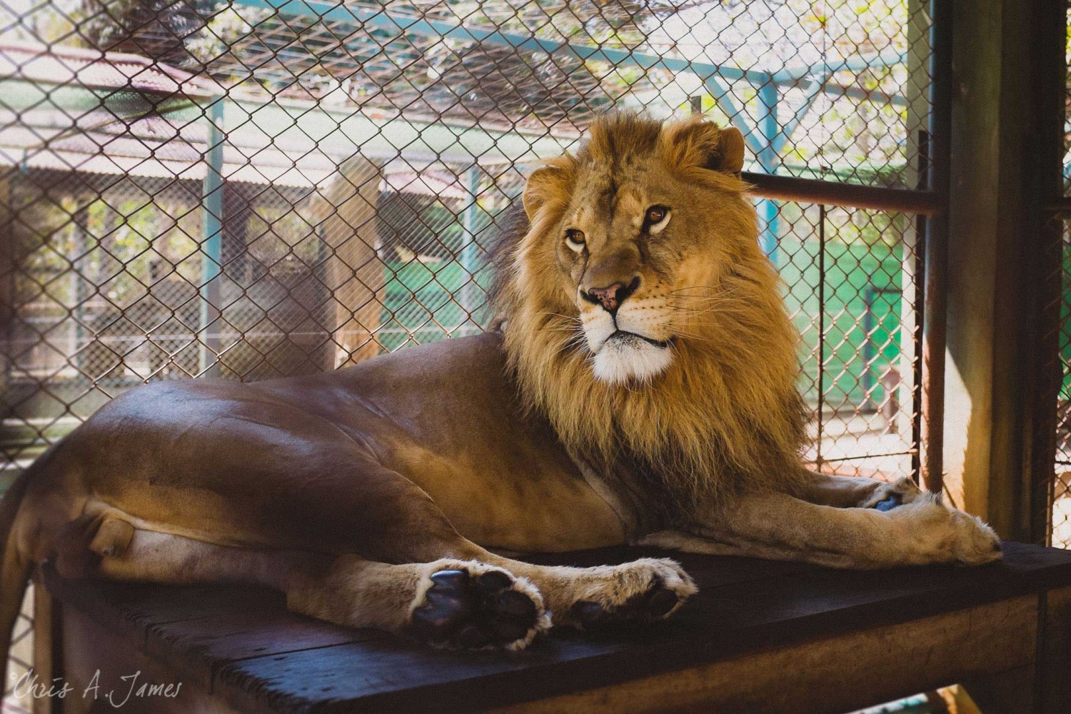 Chaing Mai - Chris A James