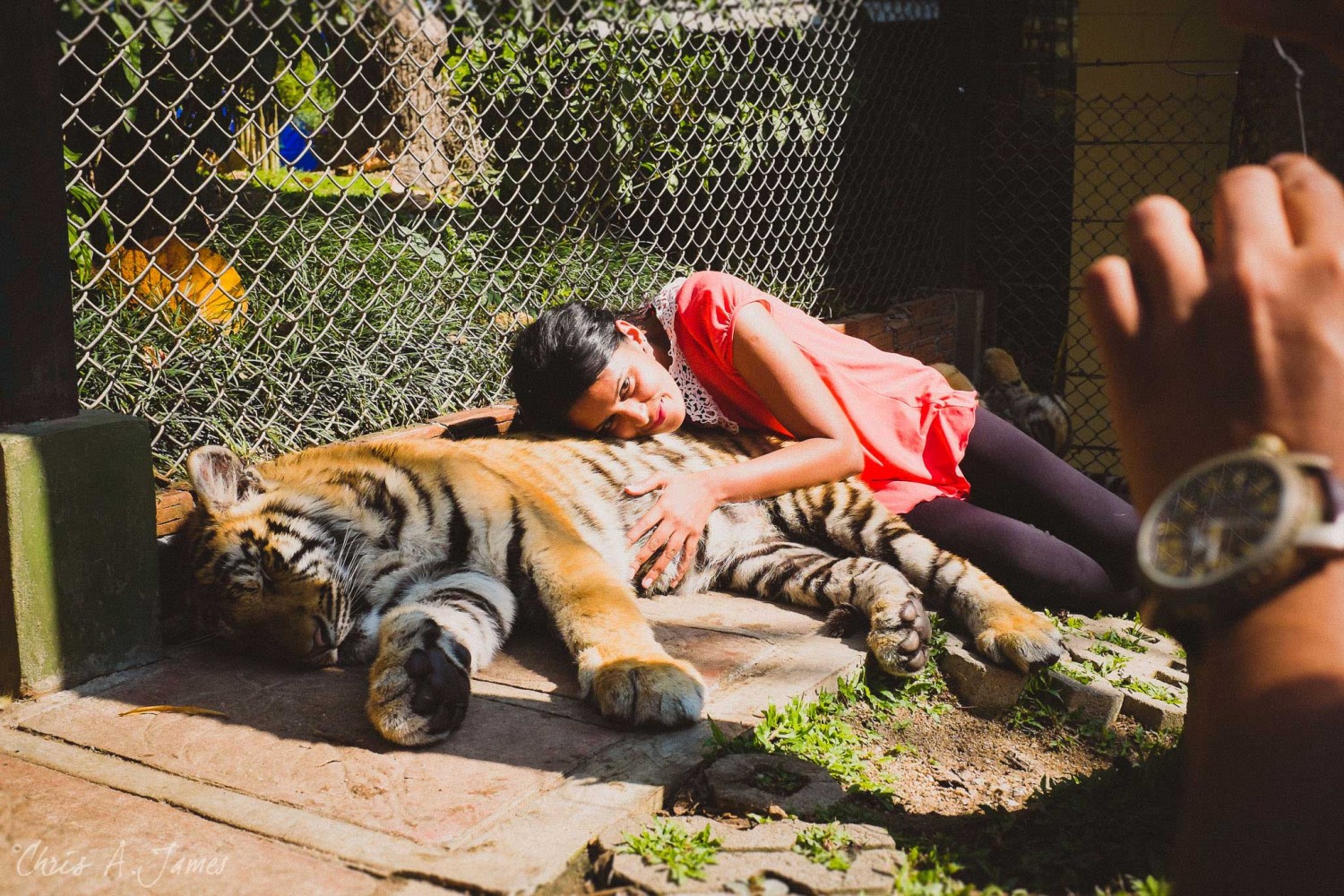 Chaing Mai - Chris A James