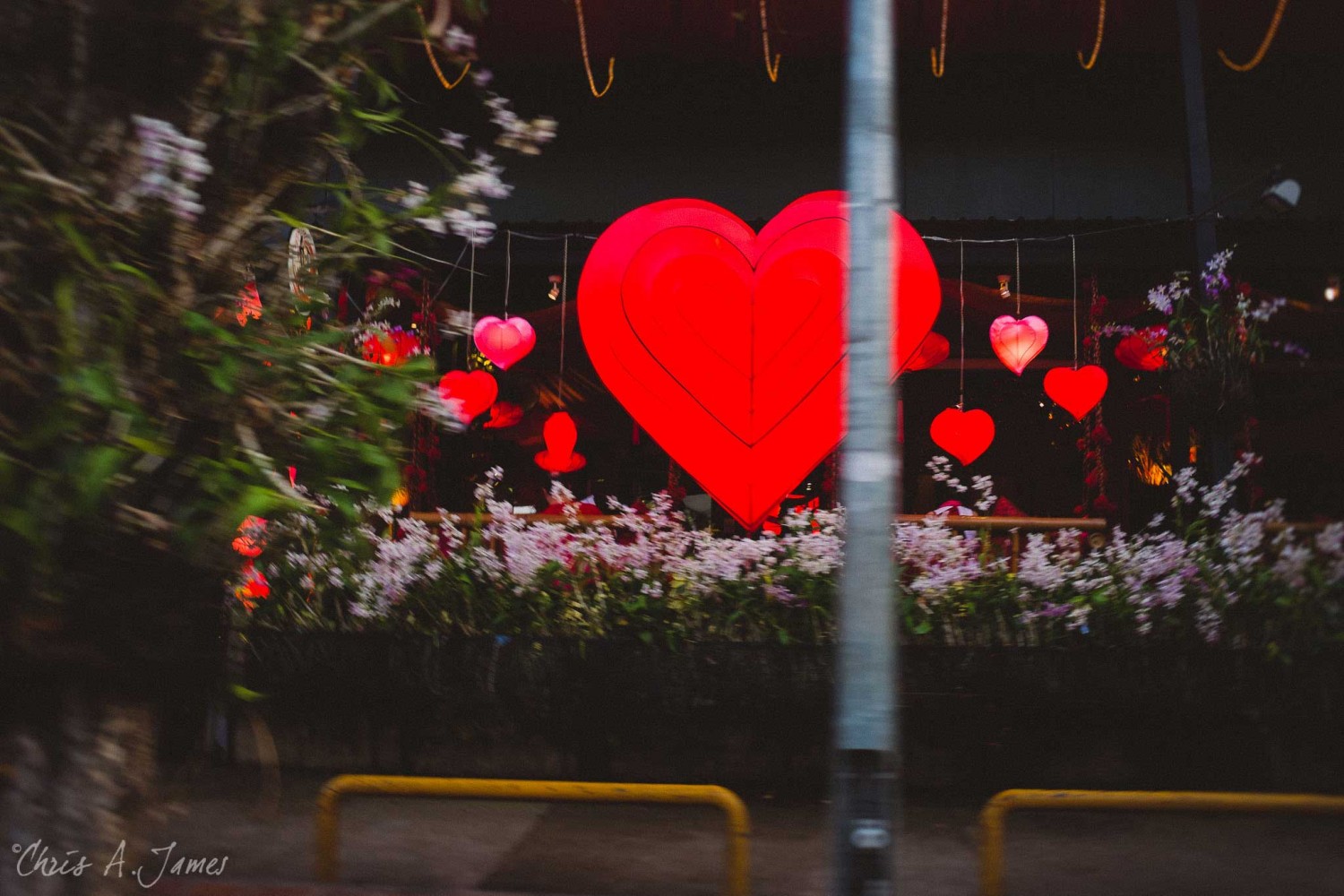 Chaing Mai - Chris A James