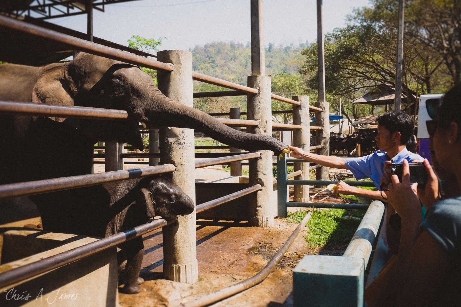 Chaing Mai - Chris A James