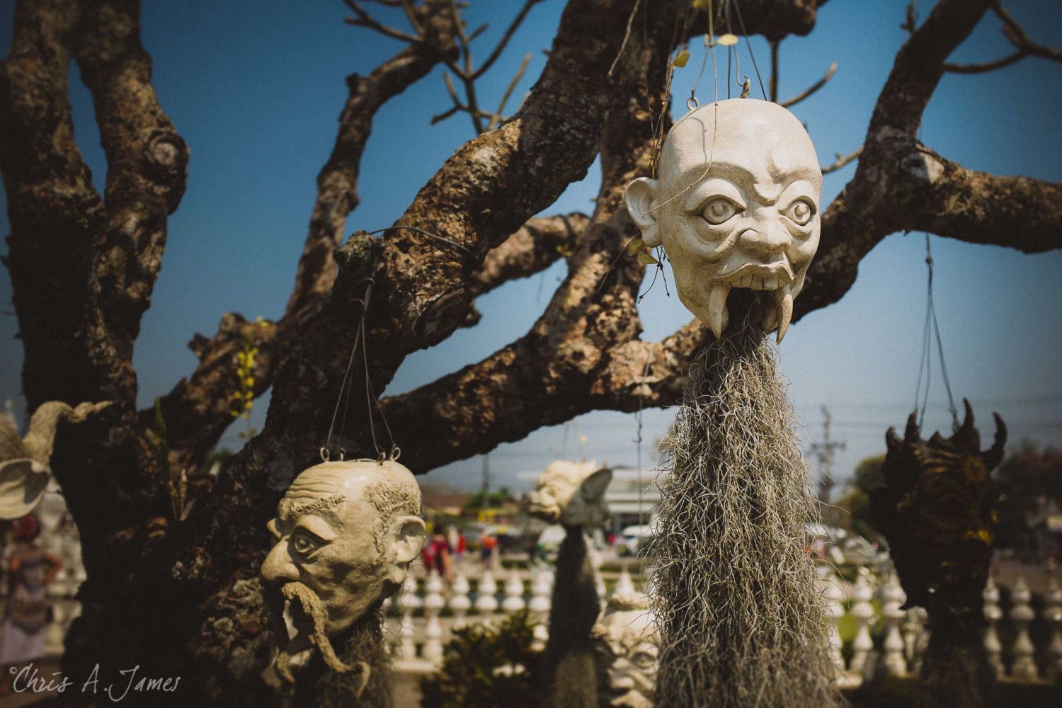 Chaing Mai - Chris A James