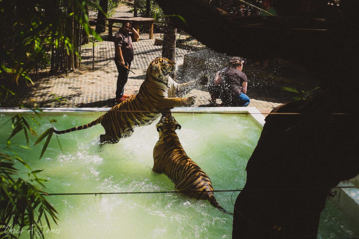 Chaing Mai - Chris A James