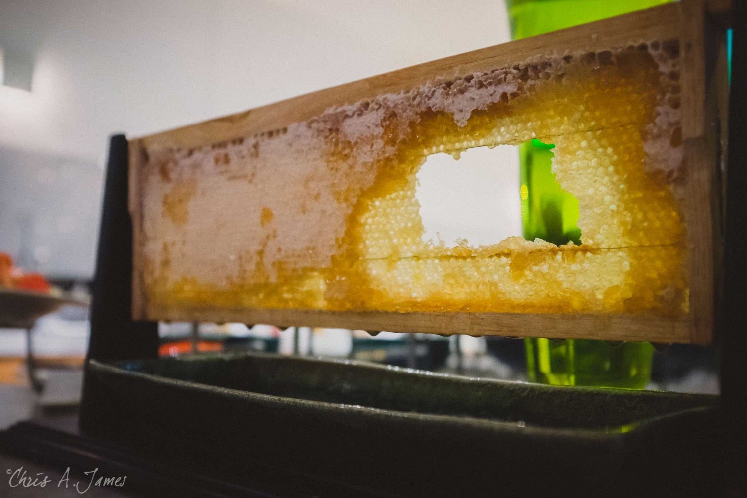 Phuket - Chris A James