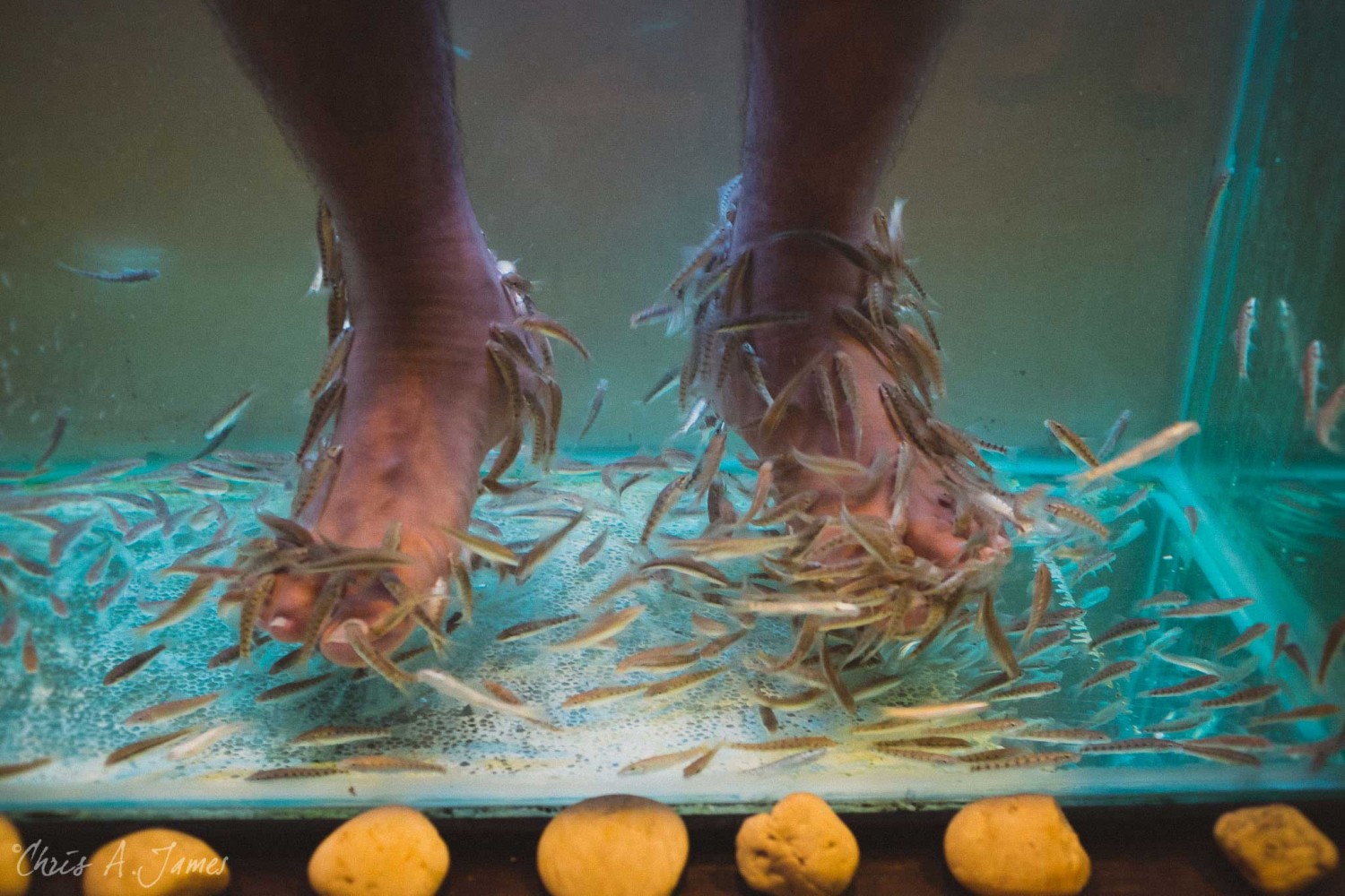 Phuket - Chris A James