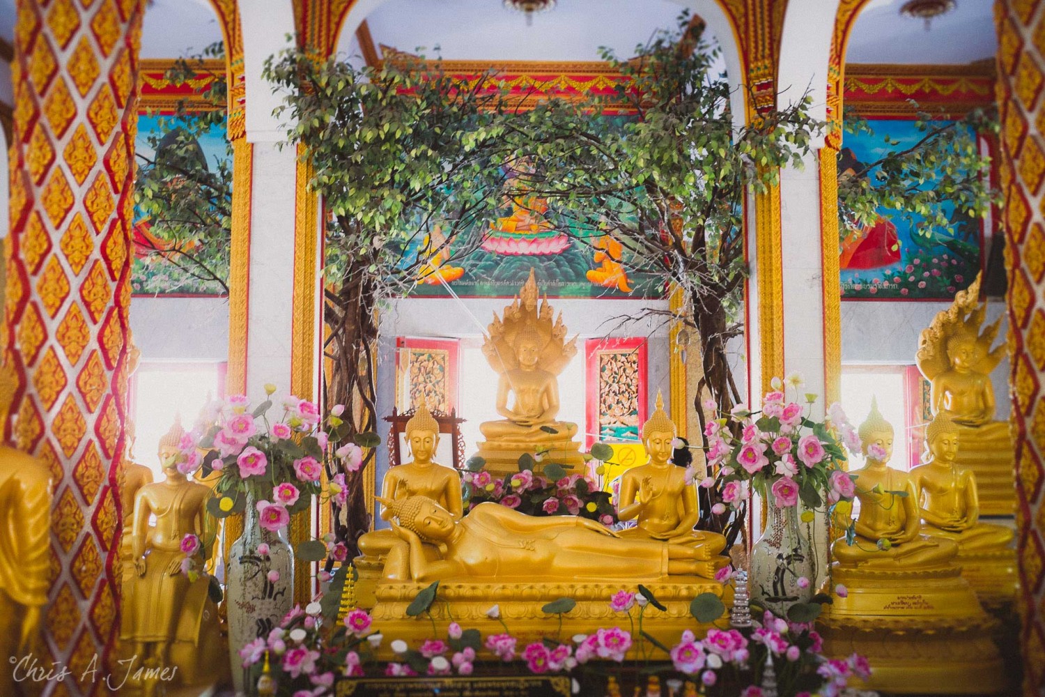 Phuket - Chris A James